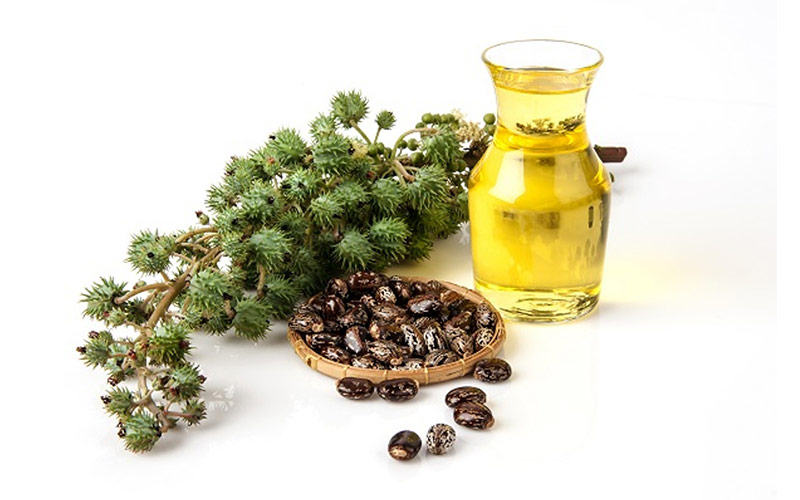 روغن کرچک برای لک صورت دارای فواید و کاربرد زیادی است.