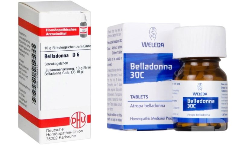 بلادونا پی بی