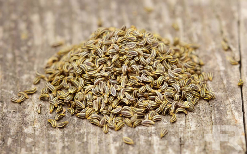 خواص تخم جعفری