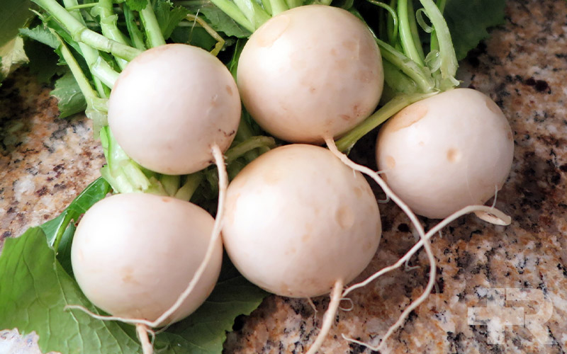 یکی از نکات مهم در خواص تخم شلغم، اطلاع از روش مصرف تخم شلغم است.