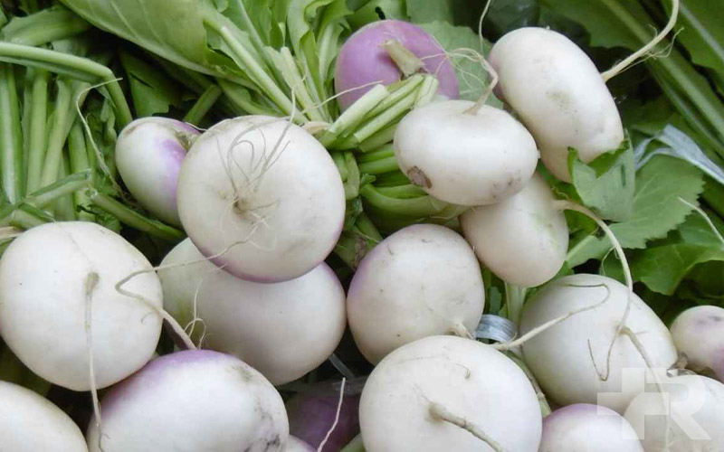 در صورت داشتن سابقه پزشکی خاص، قبل از مصرف تخم شلغم با پزشک مشورت کنید.