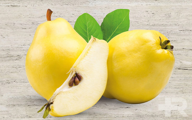 خواص دانه به