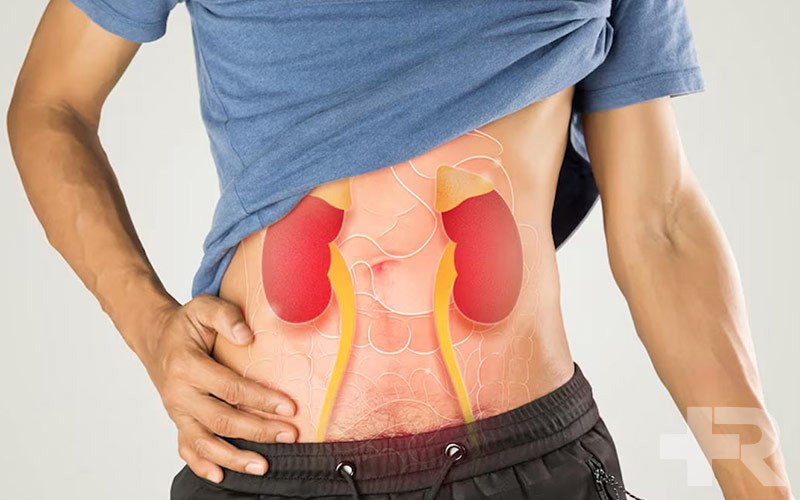 شواهدی از عوارض یا خطرات کراتین در کلیه ها دیده شده است.