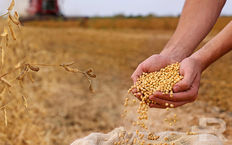 کمک به سلامت قلب و عروق، سلامت استخوان و غیره از خواص سویا است.