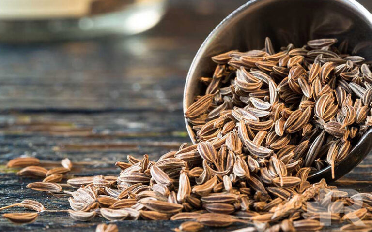 عوارض زیره سیاه برای زنان