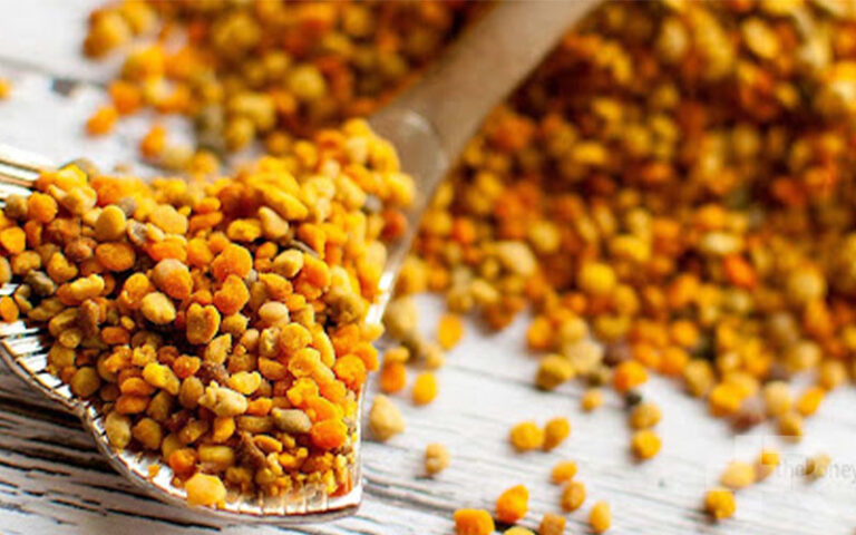 خواص زنیان خواص گرده گل کوهی