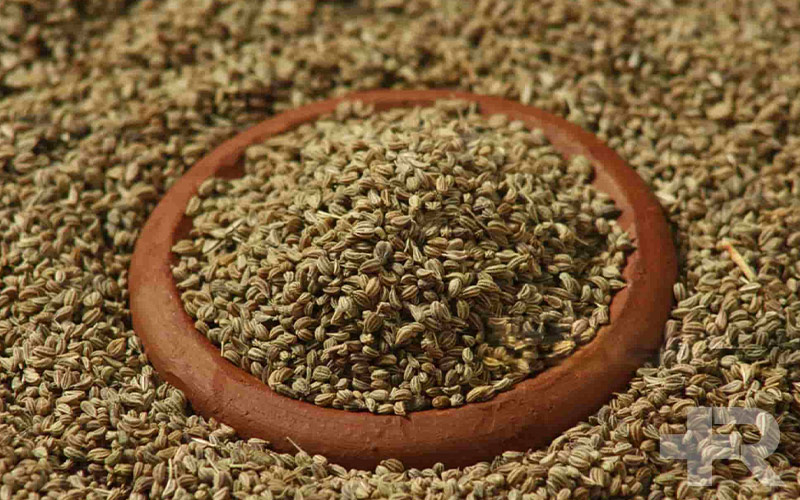خواص زنیان در کنار خواص زنیان، این گیاه دارای عوارض جانبی محدودی نیز است.