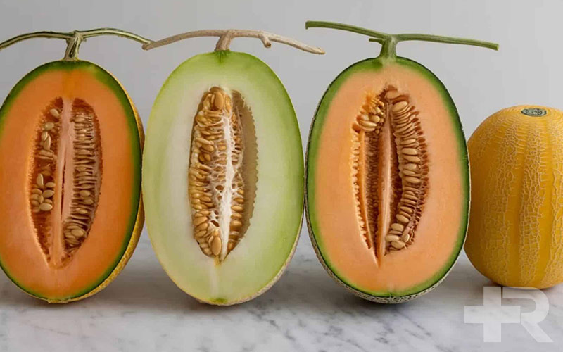 خواص خربزه خربزه دارای آب زیادی است که برای سلامت کلیه ها مناسب است.