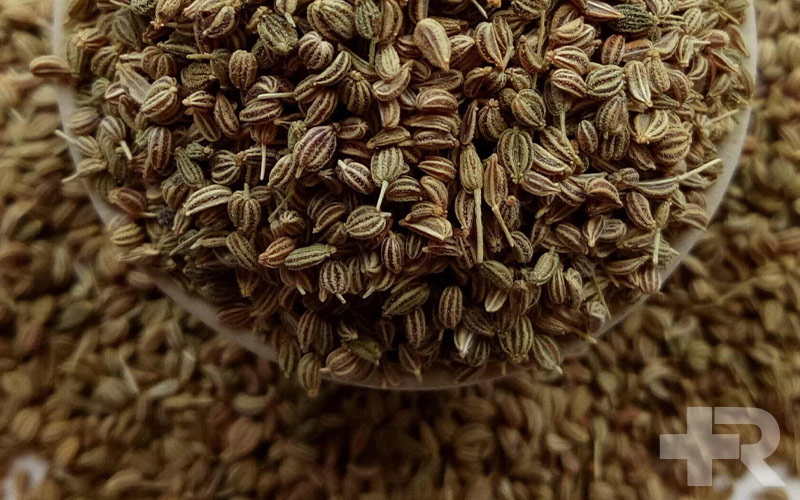 یکی از خواص عرق زنیان، کاربرد آن در نفخ شکم است.