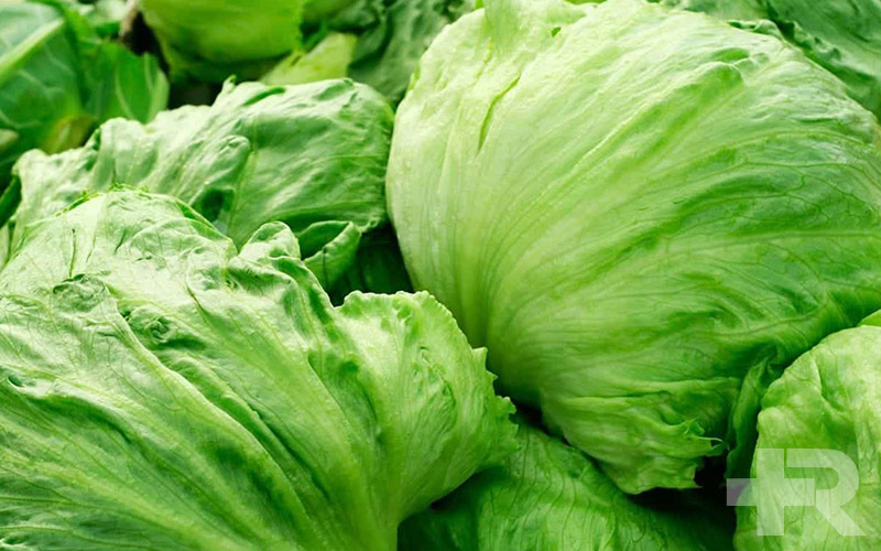 یکی از خواص کاهو، فواید آن برای سلامت قلب است.