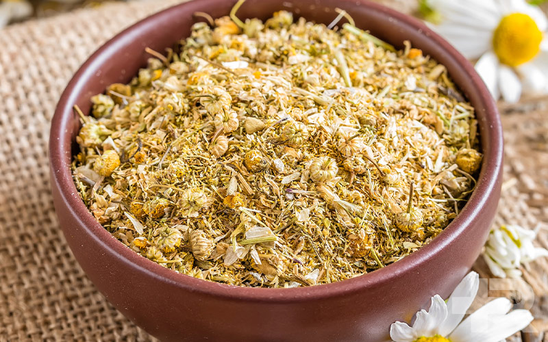 خواص بابونه برای رحم برای بهره مندی از خواص بابونه برای رحم، باید زمان مصرف آن را تنظیم کنید.