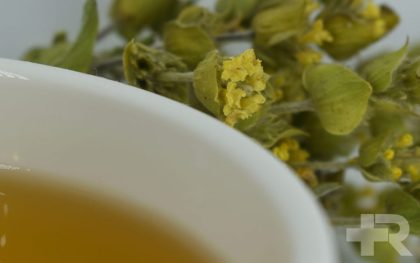 خواص چای کوهی