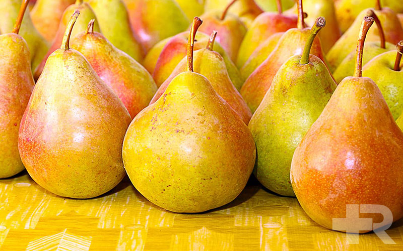 خواص گلابی یکی از فواید و خواص گلابی، کاربرد آن در دستگاه گوارش و یبوست است.