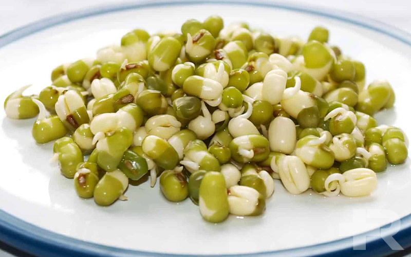 خواص ماش یکی از خواص مهم ماش، کاربرد آن در کاهش مشکلات گوارشی و افزایش سلامت آن است.