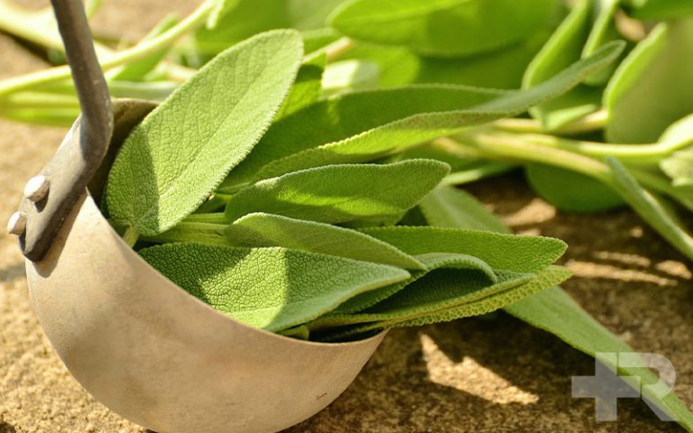 خواص مریم گلی